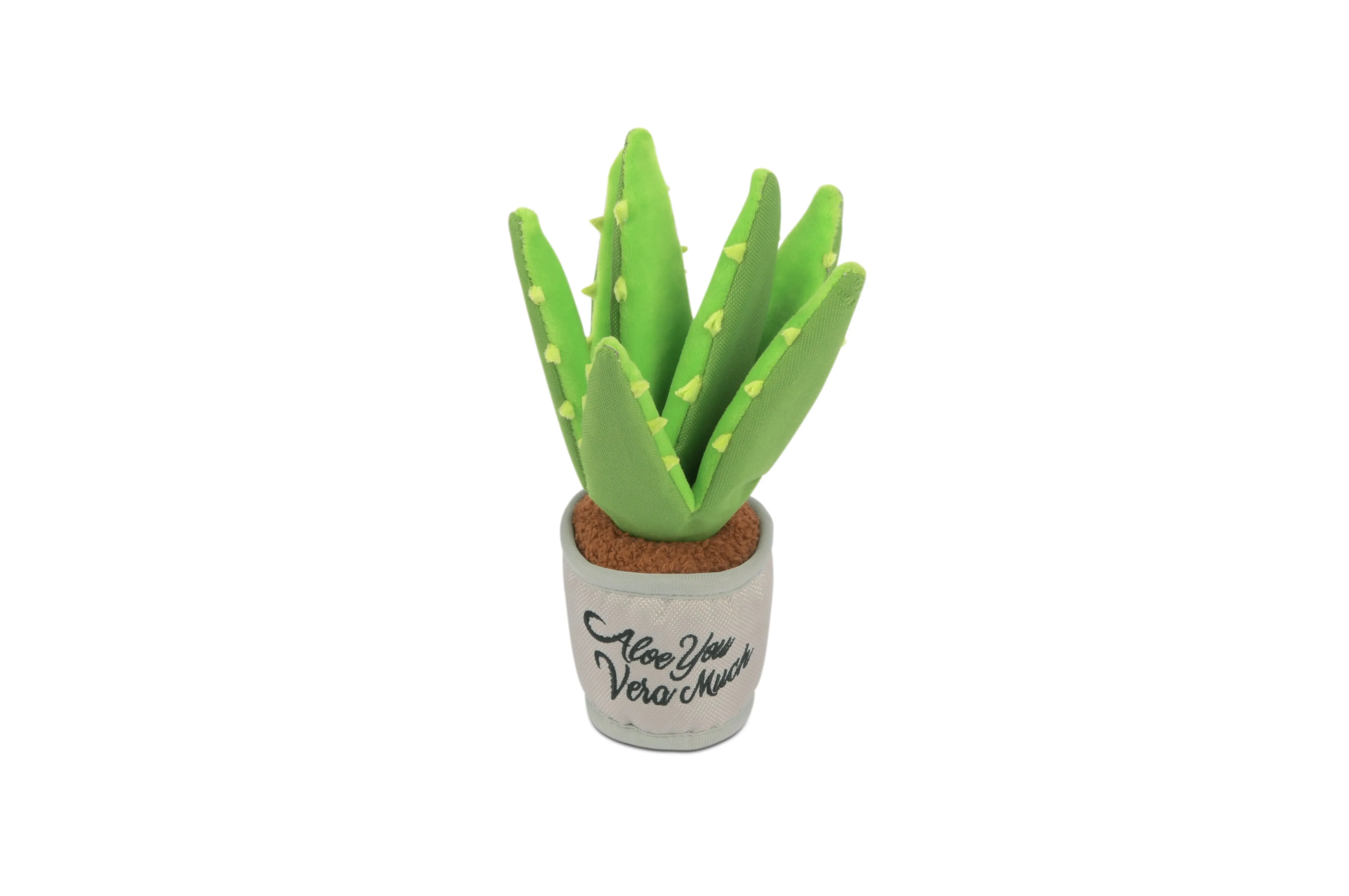 Aloe-ve You Plant