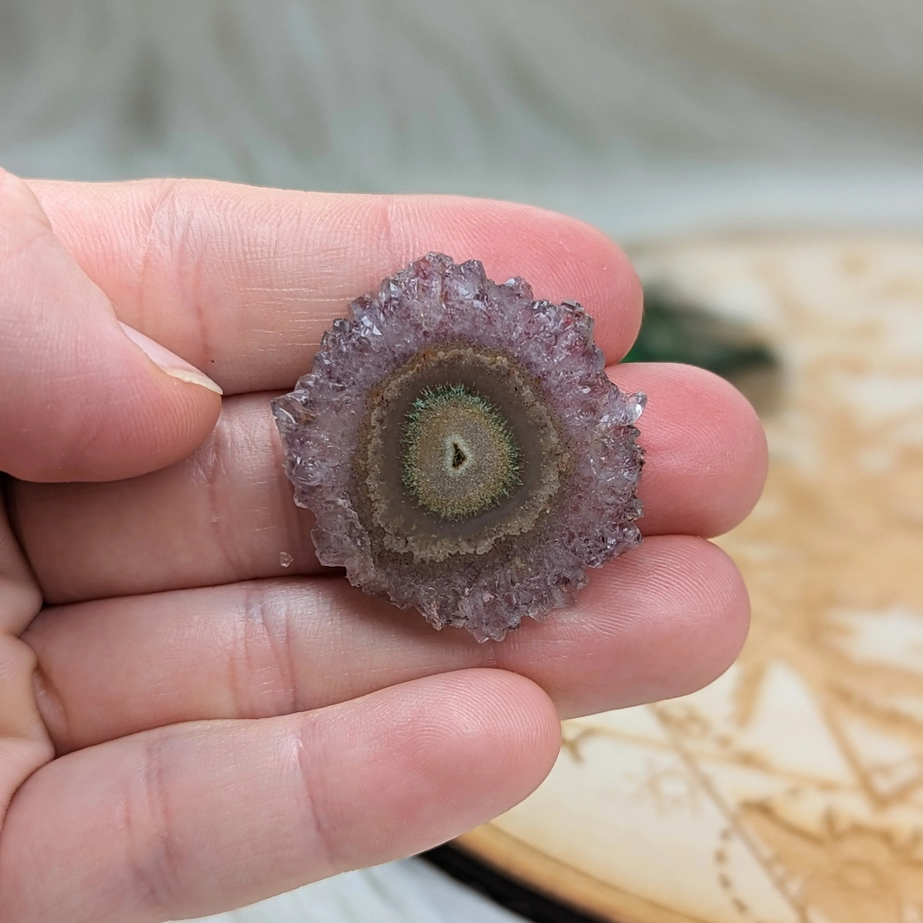 Amethyst Stalactite Slice Specimen #6 ~ Expansion of the Higher Self