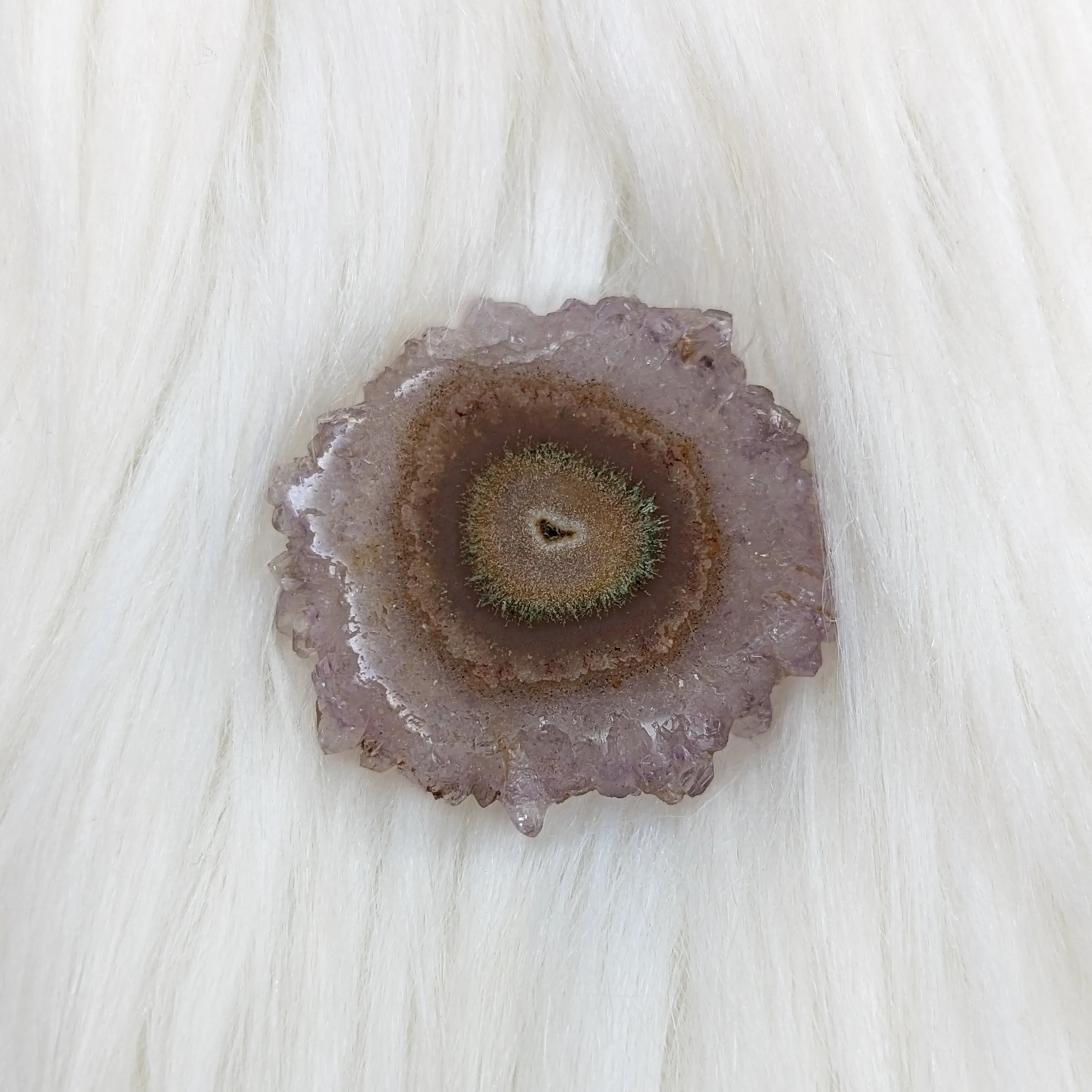 Amethyst Stalactite Slice Specimen #6 ~ Expansion of the Higher Self