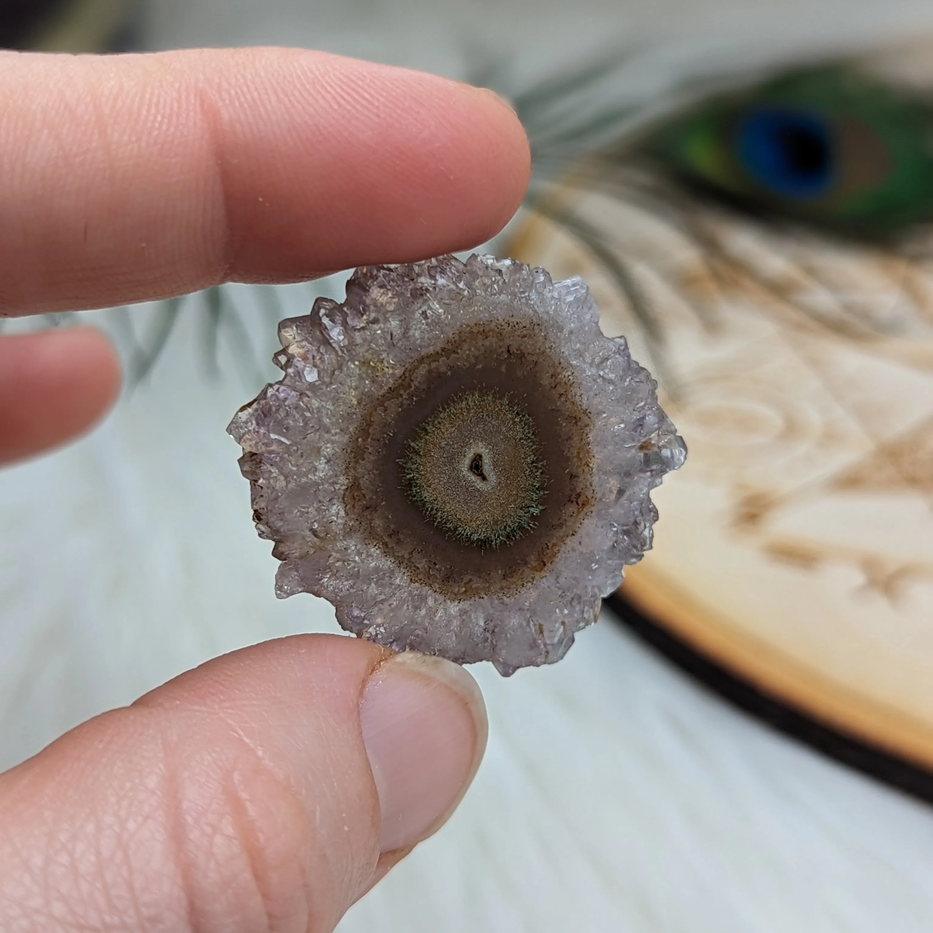 Amethyst Stalactite Slice Specimen #6 ~ Expansion of the Higher Self