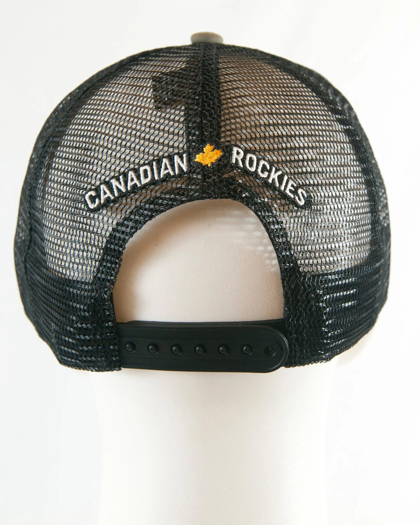 CMS Shield w/Skis Trucker Hat