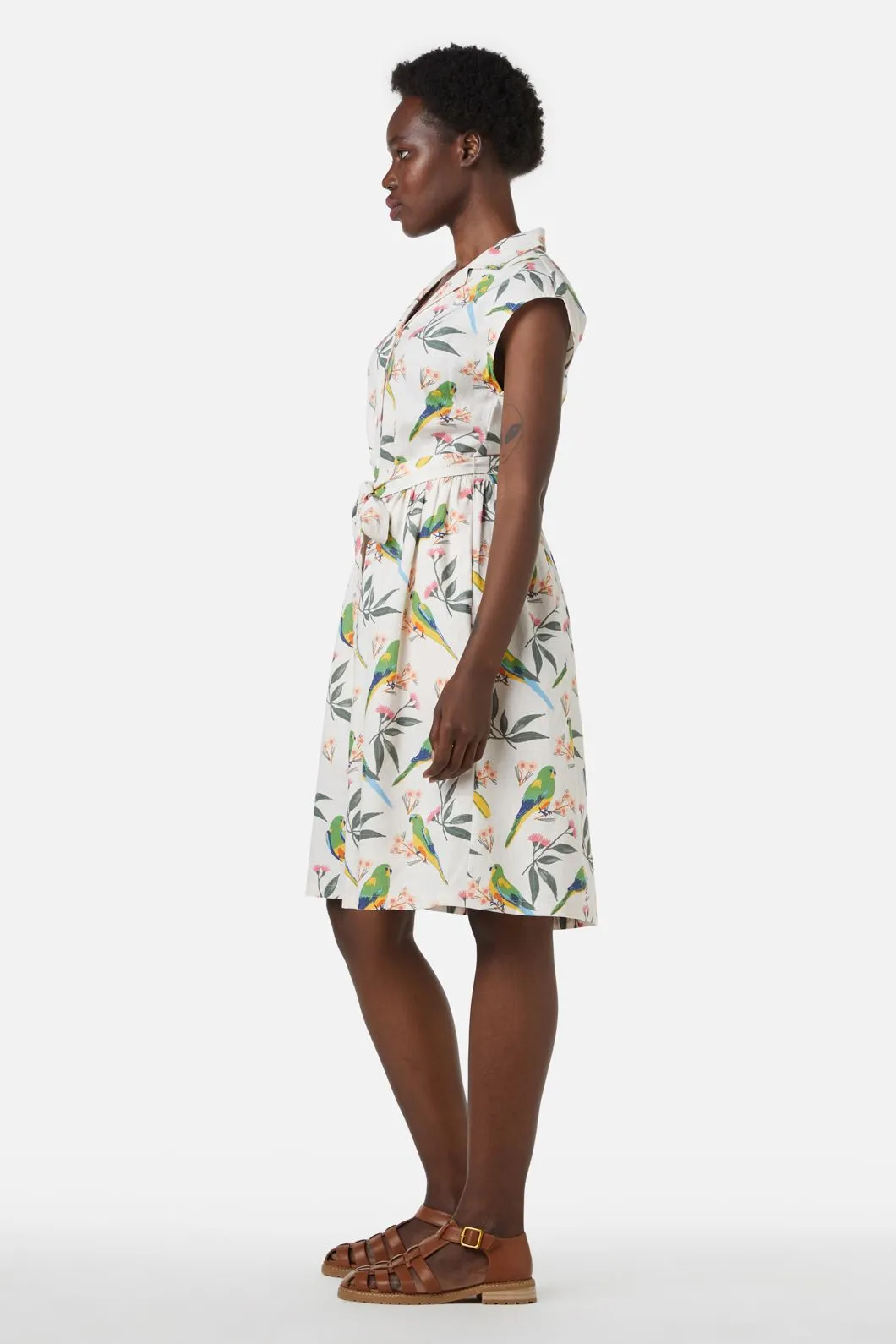 Parrot Shirt Dress