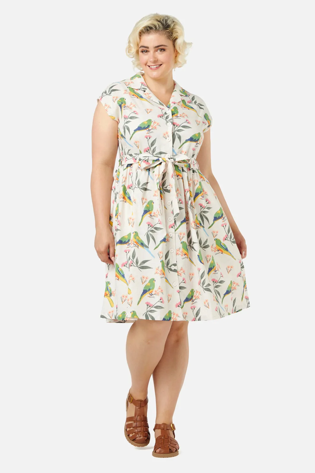 Parrot Shirt Dress