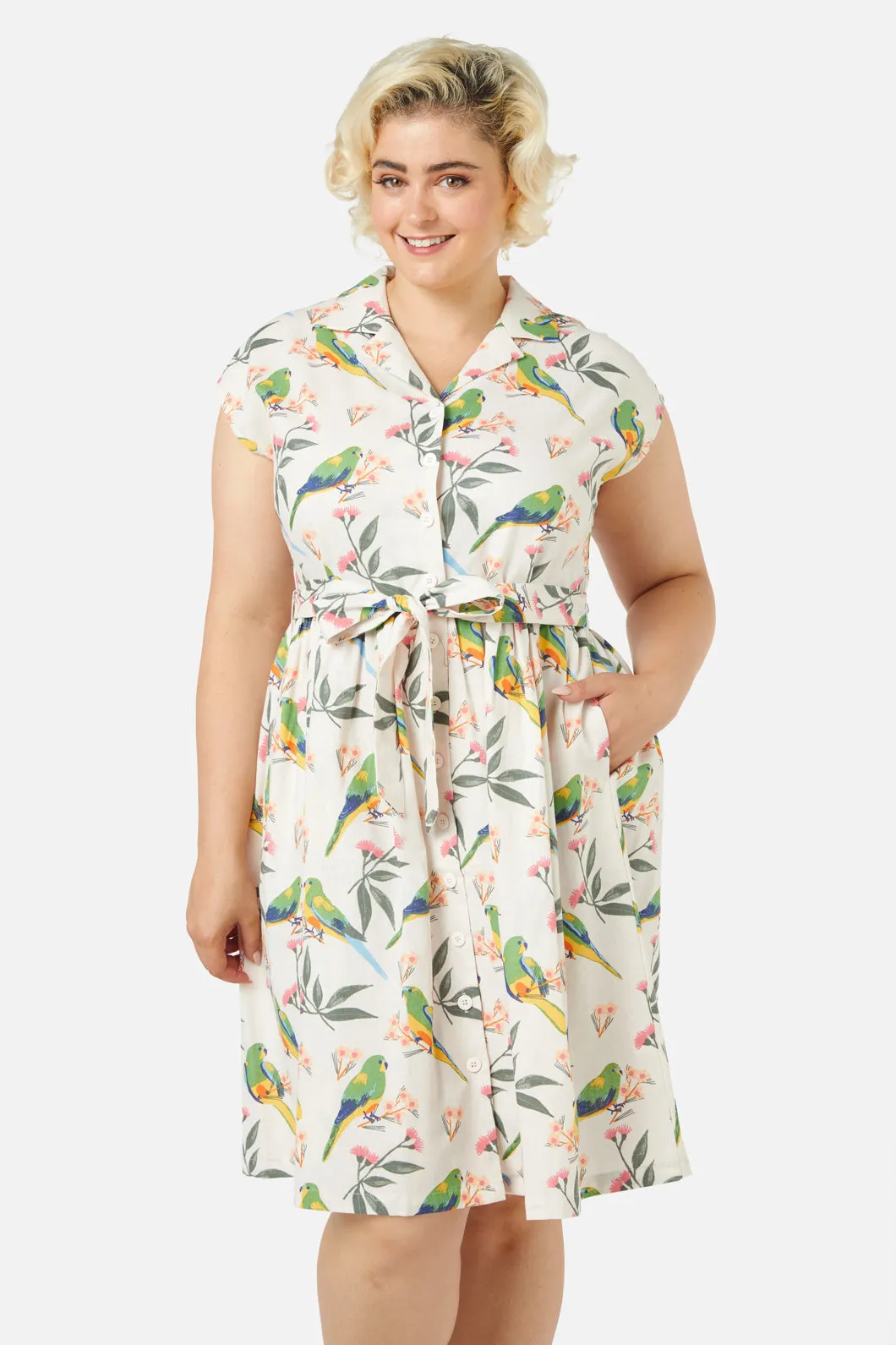 Parrot Shirt Dress