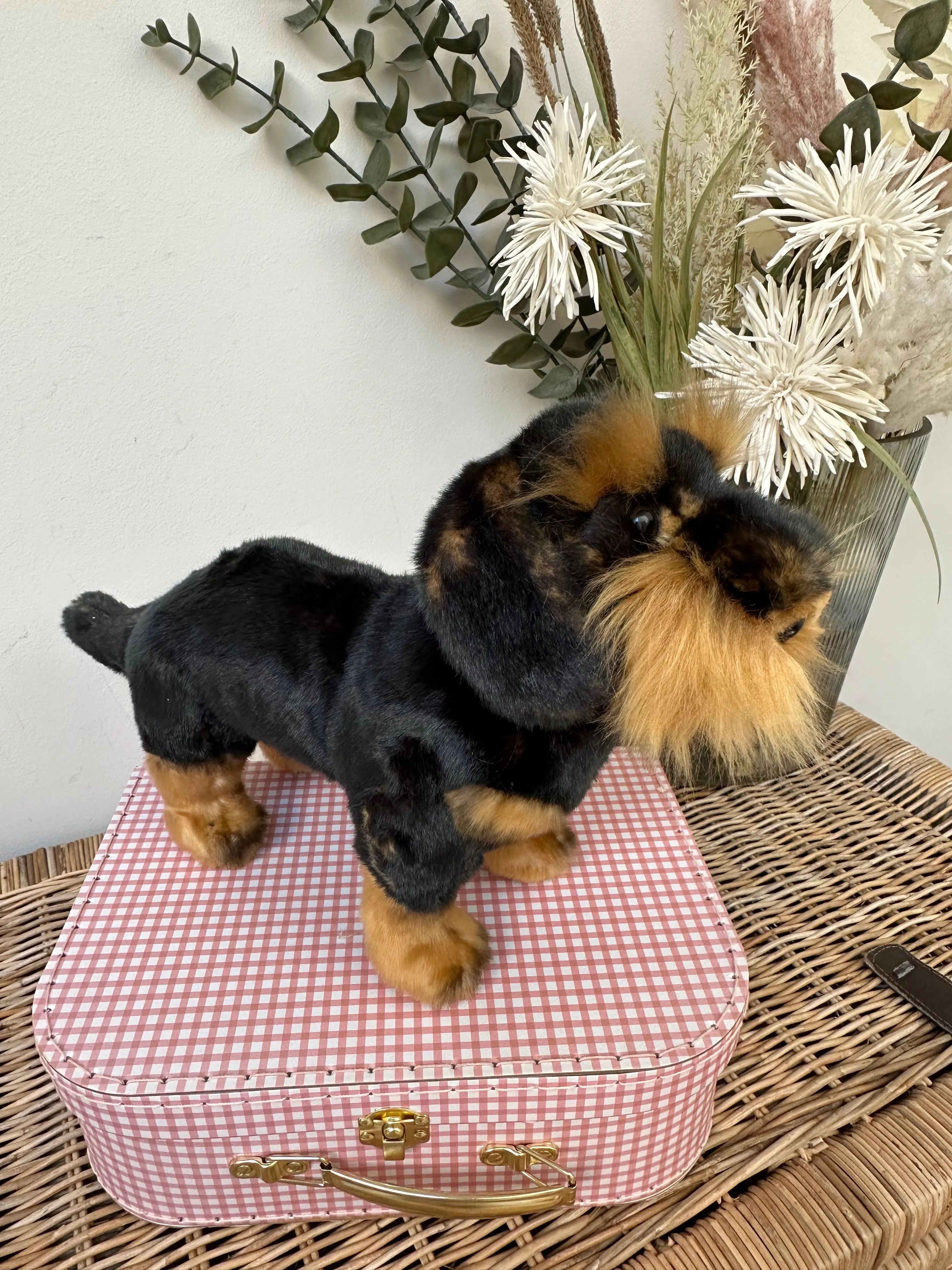 Wire-haired small Plush 28cm Hermann Teddy Bear standing Dachshund